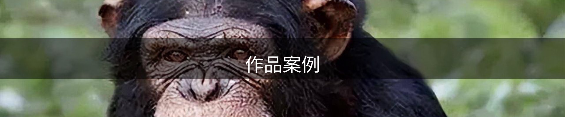作品案例
